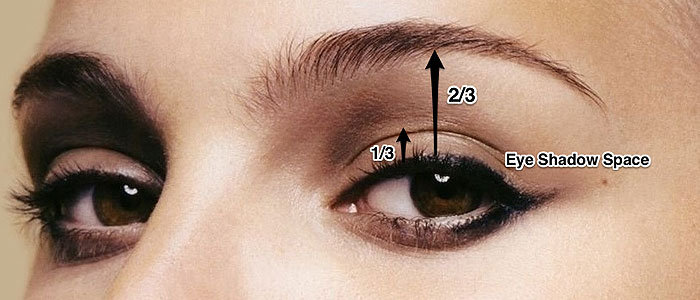 ideal-female-upper-eyelid.jpg